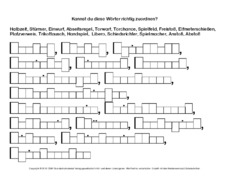 Fußballbegriffe-zuordnen 2.pdf